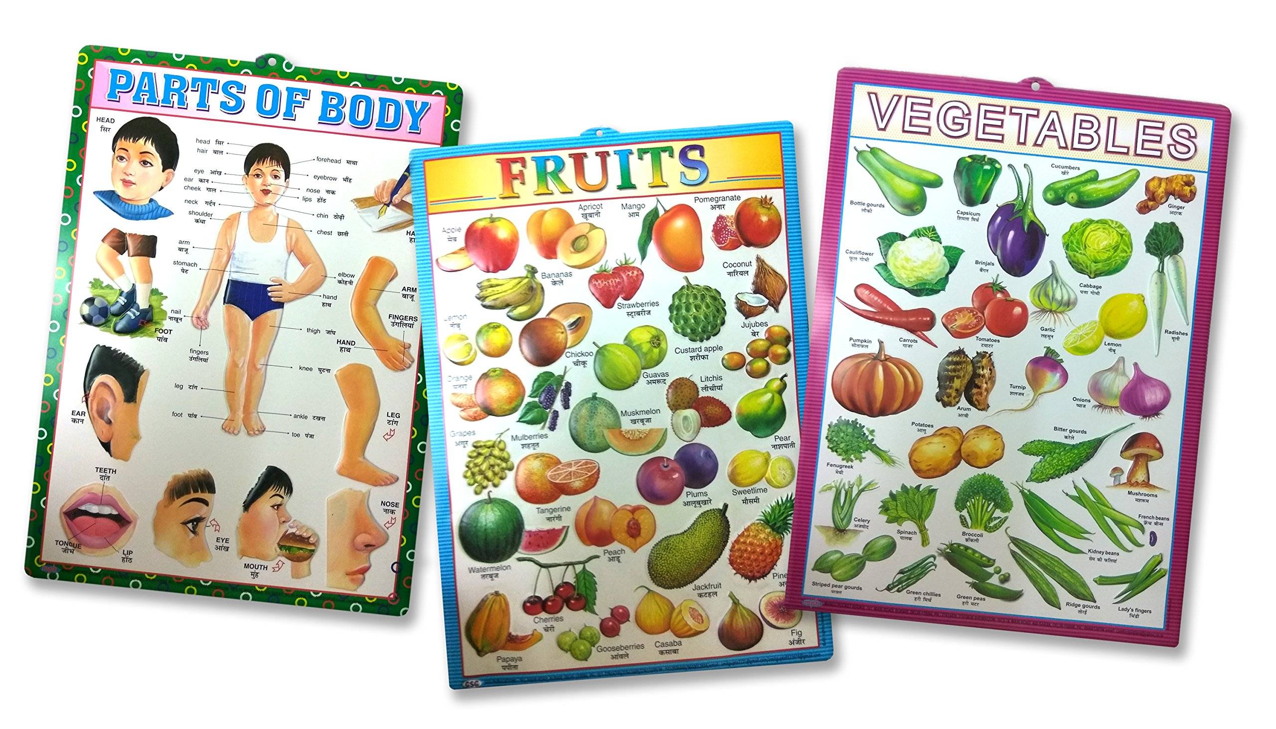 fruit, vegetables, part of body combo set of 3