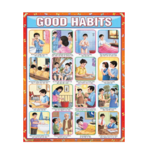 3D CHARTS : GOOD HABITS