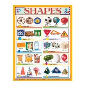 3D CHARTS : SHAPES